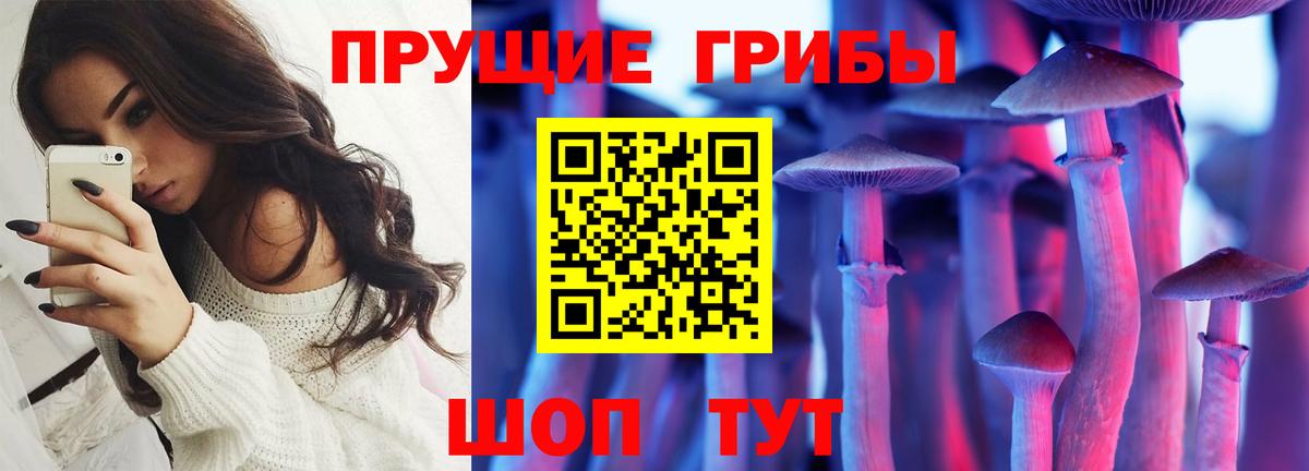 Галлюциногенные грибы GOLDEN TEACHER  Псилоцибиновые грибы мухоморы  Вход с VPN  Темрюк 